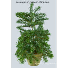 PE Nordmann Fir Tree Artificial Plant with Pot for Christmas Decoration (43658)